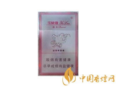 越南代工渔神香烟，探寻东南亚市场的独特魅力